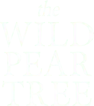 درخت گلابی وحشی