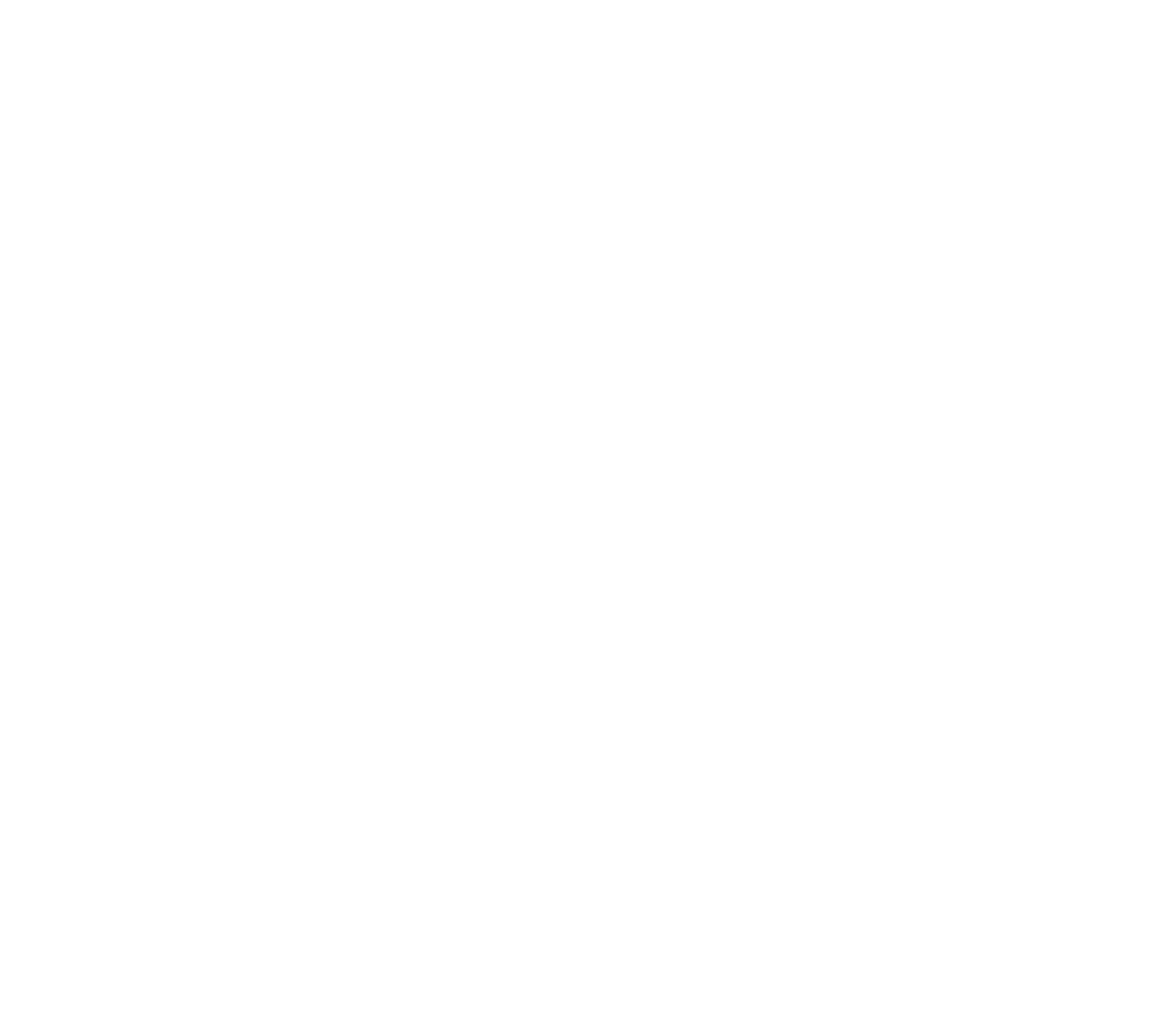 دنیز فاتح لری