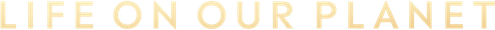 حیات در سیاره ما