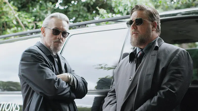 سگ های خفته 