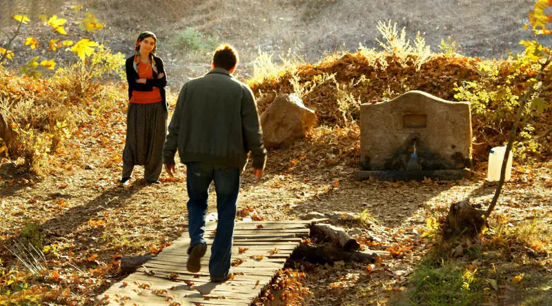 درخت گلابی وحشی