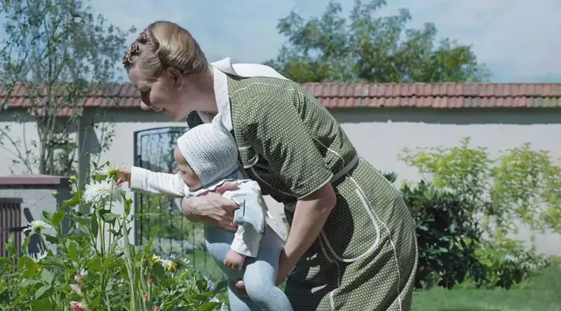 منطقه تحت نظر